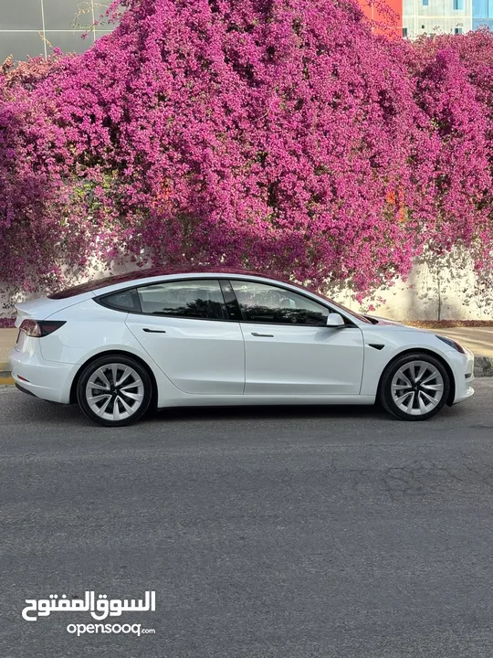 Tesla model 3 2022/  تيسلا موديل 3 ممشى قليل جدا فحص كامل