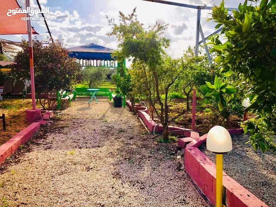 منتجع للبيع (مزرعه)