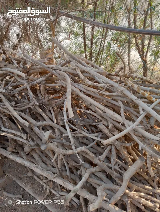 تشكيلة حطب للبيع