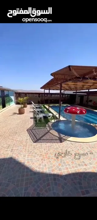 ابو وائل عليوي