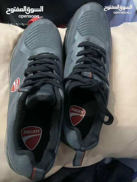 Ducati shoes brand new