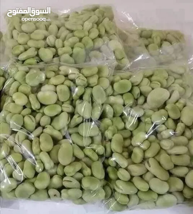 ملوخيه وورق عنب وفول وفاصوليا وسبانخ وخضار فروزن