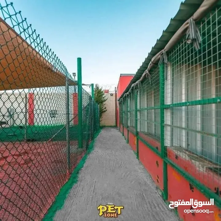 Dog hotel ...
