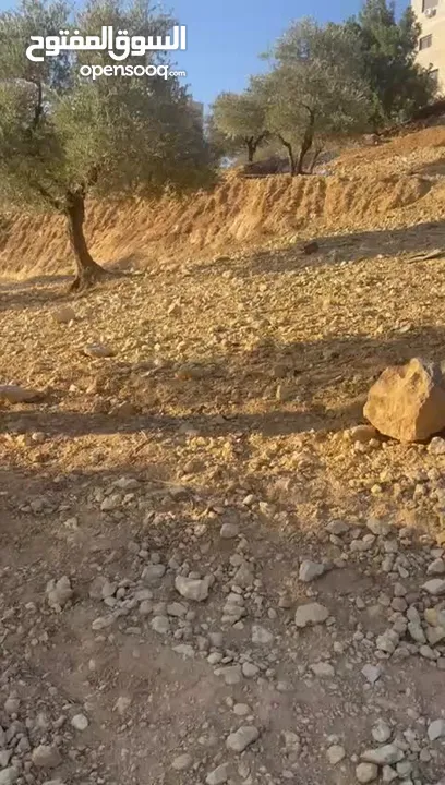متوفر 3 قطع ارض بمساحات مختلفة (550)