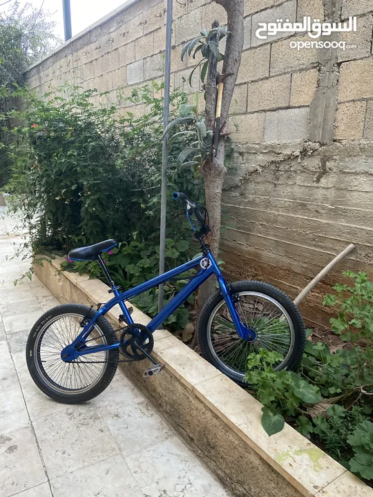 همر للبيع او بدل علا عصافير