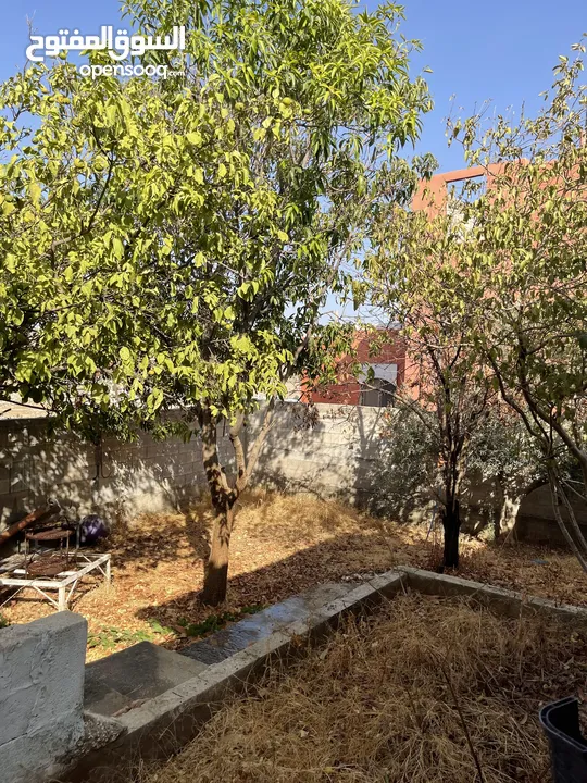 بيت مستقل في الباذان