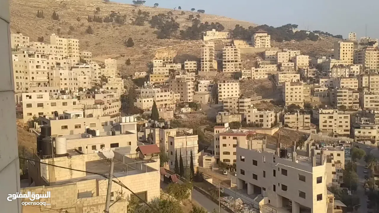 شقه مشطبه 30% ( مقصوره )