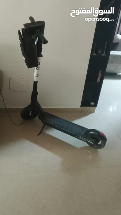 سكوتر كهرباء من شركه BIRD مستعمل بحاله جيده جداا وسريع وحالته ممتازه و مع ليز اخضر هديه