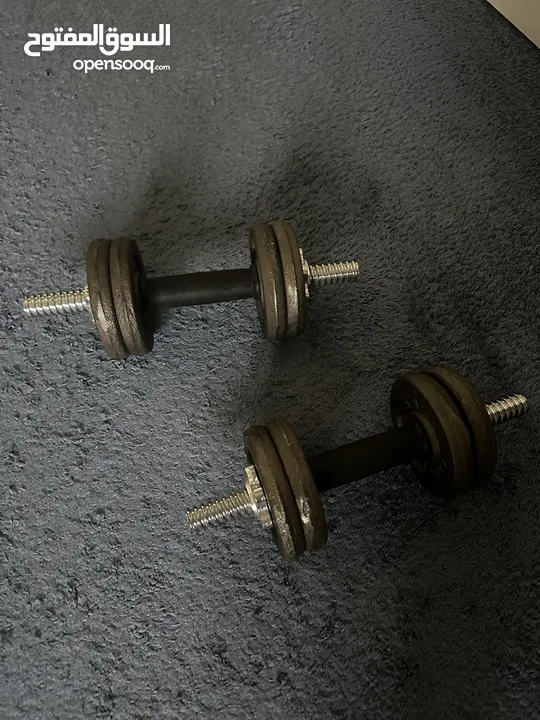 دمبلز حديد 10 كيلو dumbbells