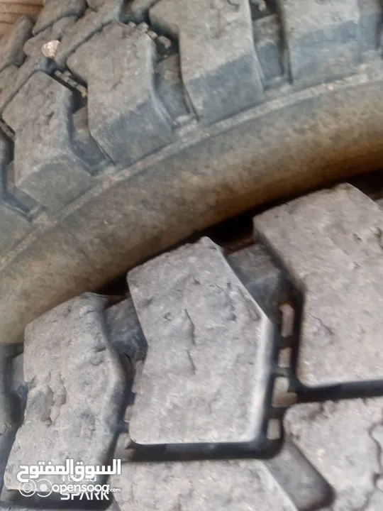 قلاب فطس للبيع