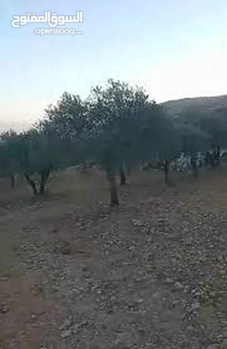 قطعة ارض للبيع