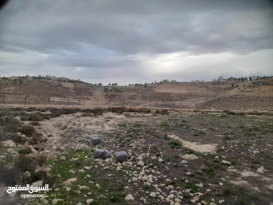 1800 م ارض طابو A الخليل دورا خرسه