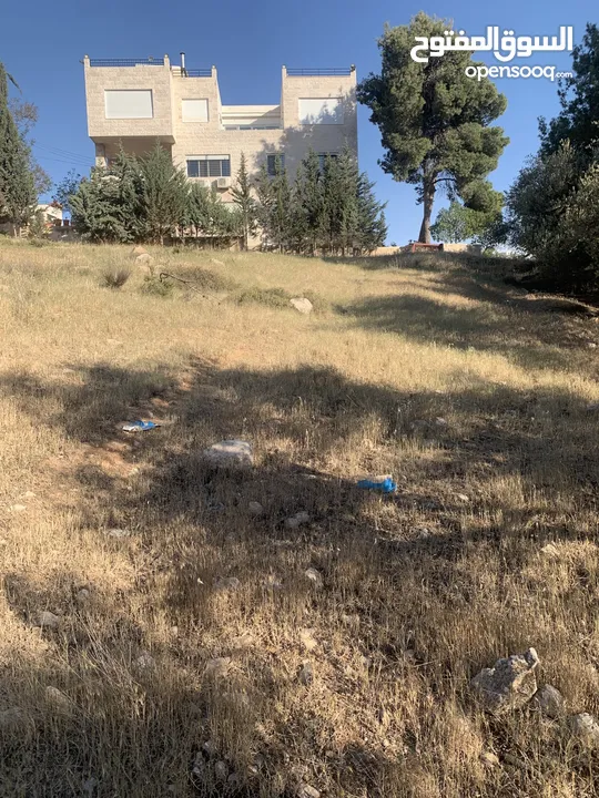 قطعه ارض مميزه في صافوط اراضي شمال عمان