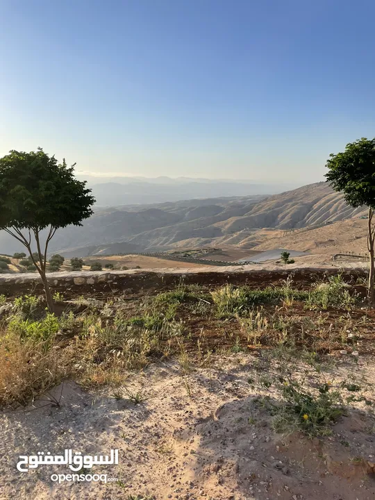 مزرعة في مغاريب السلط من المالك مباشرة