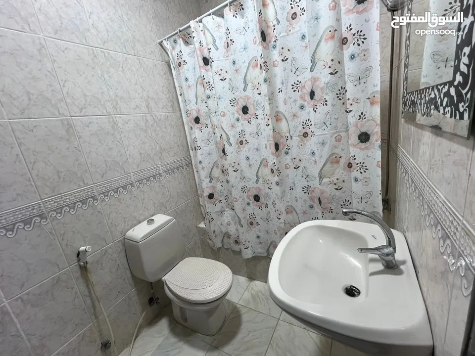 شقق مفروشه بالكامل كبيره وصغيره  نظافه مميزه للايجار خلف مركز الحسين للسرطان / الجامعه الاردنيه