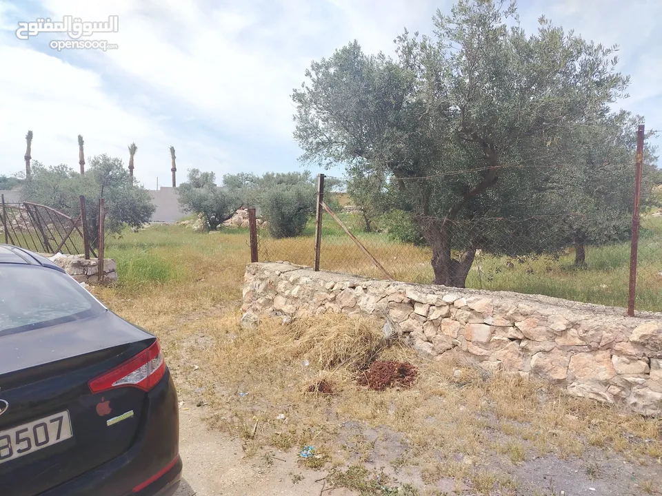 دنم مميز بطنا ع شارعين قرب شارع الستين الجديد
