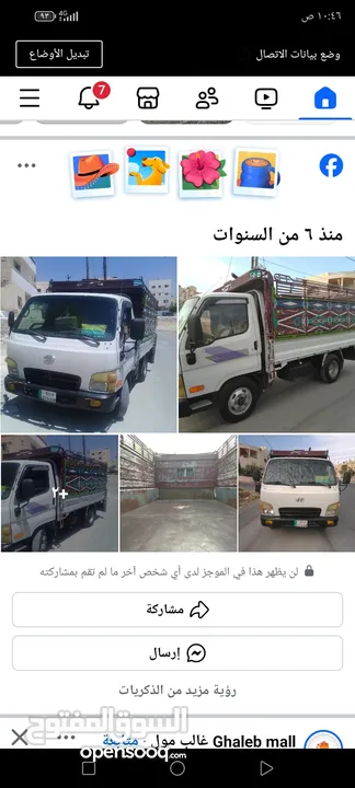 ديانا مايتي النقل الاثاث