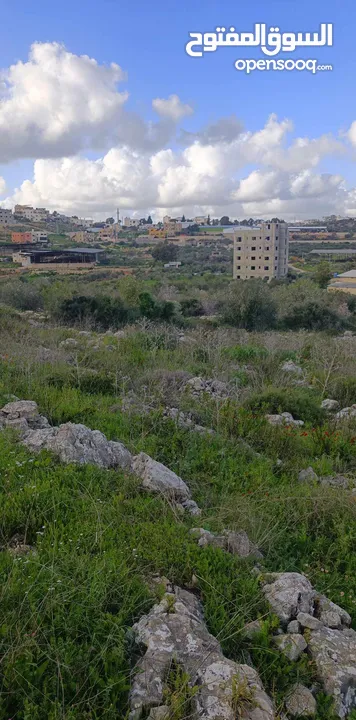 800متر طابوا فلسطيني منطقة  bداخل حدود البلدية موقع مميزا جدا صالحة للجميع المشاريع الاستثمارية