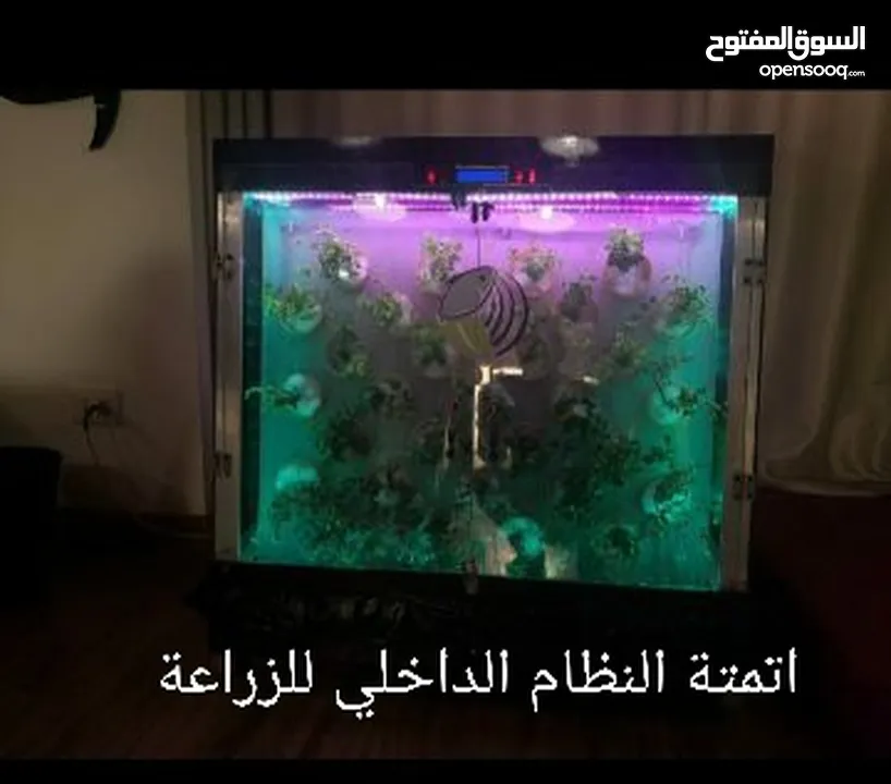 زراعة مائية