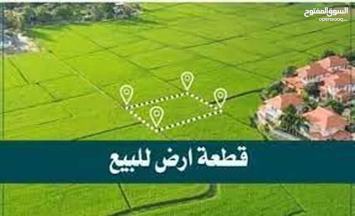 فرصة استثمارية ذهبية – أرض للبيع في روجيب نابلس تصلح لسكن او لمشروع تجاري تصنيف B متوفر كافة الخدمات