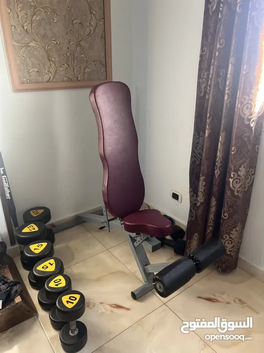 Adjustable Bench + dumbbells  بنش رفع اثقال قابل للتعديل ودمبلز بأثقال مختلفة