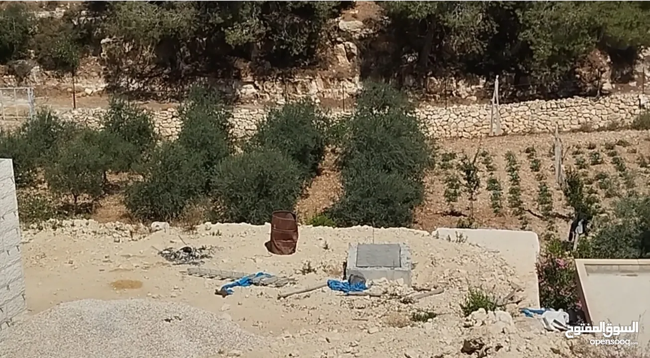 ارض معمرة ومرتبة (قريبة على كافيه زيتونة )