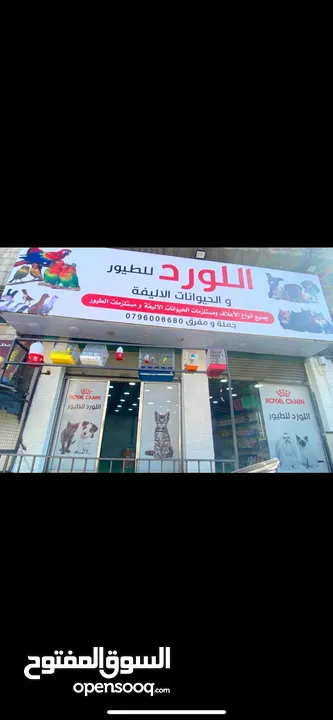 محل حيونات للبيع
