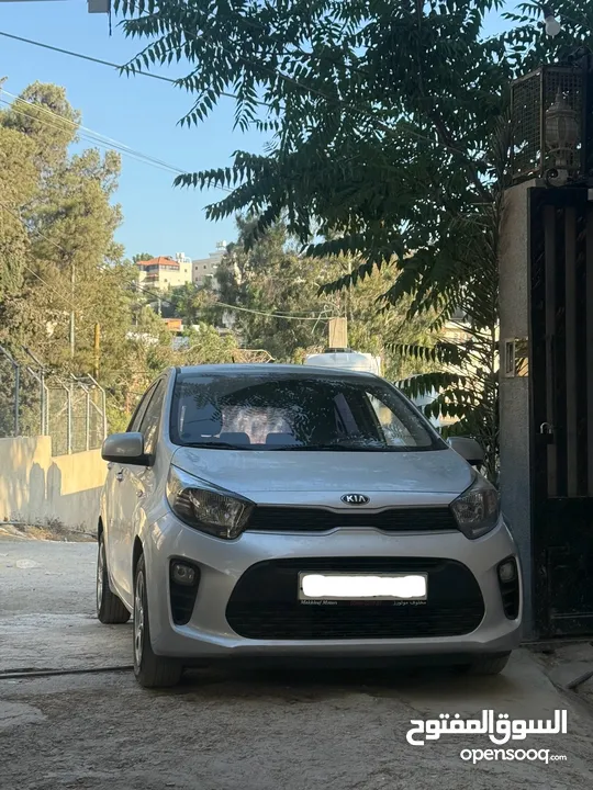 مورنينج بيكانتو 2020 نخب لسا بالنايلون ماشيه 40 كيلو فقط