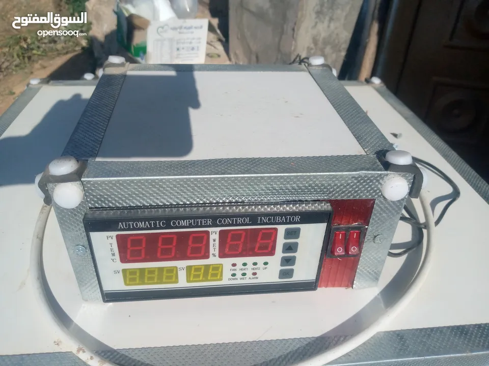 فقاسة بيض دجاج و فري