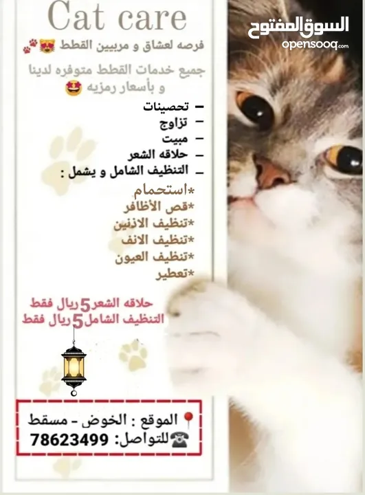 iلجميع خدمات العنايه بالقطط Cat Care