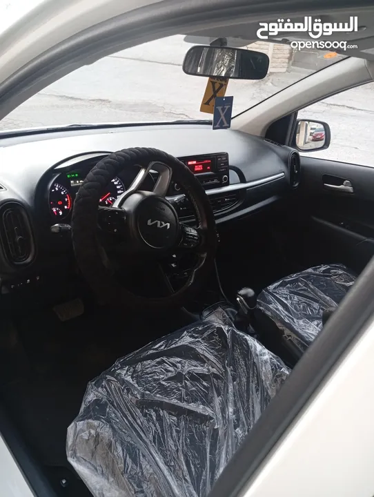 بيكانتو 2022 سعر حرق على الكاش إمكانية البيع نص كاش ونص شكات مع فرق في السعر