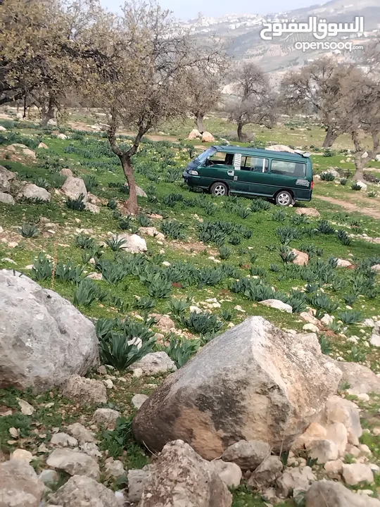 هونداي H100 باص نقل مشترك