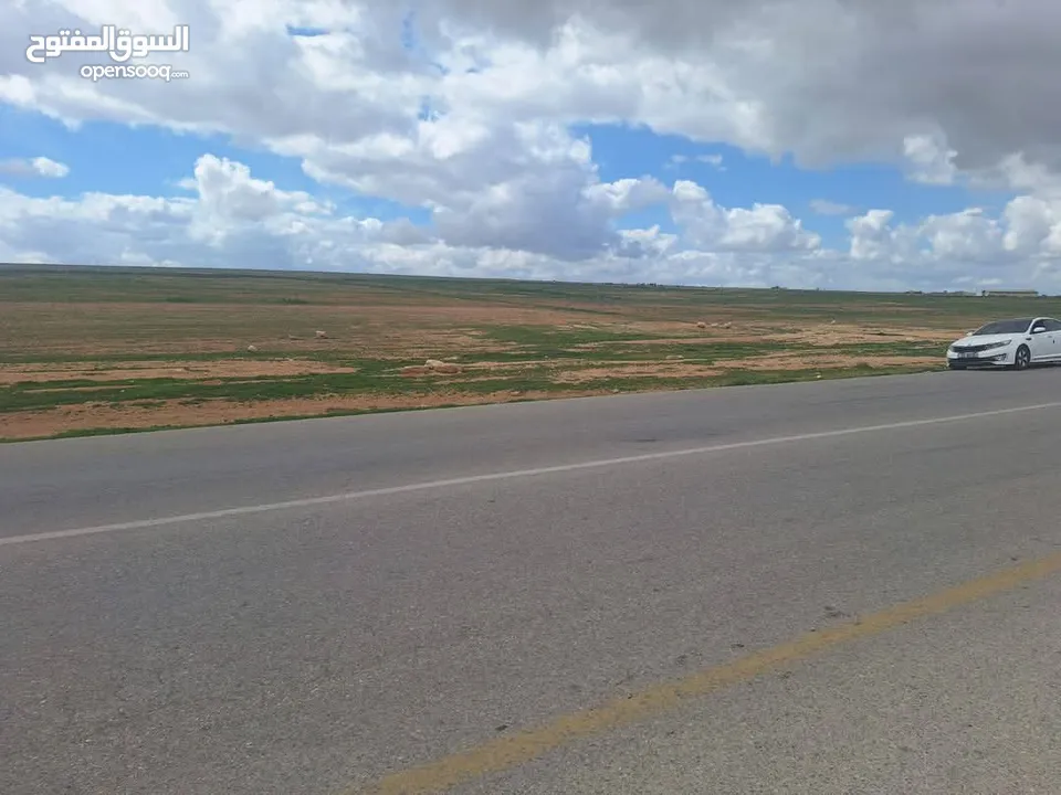 ارض للبيع في المفرق ثغرة الجب
