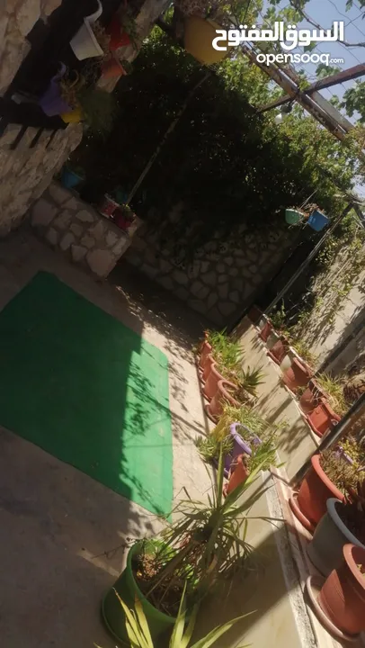 بيت للبيع  بسعر مغري