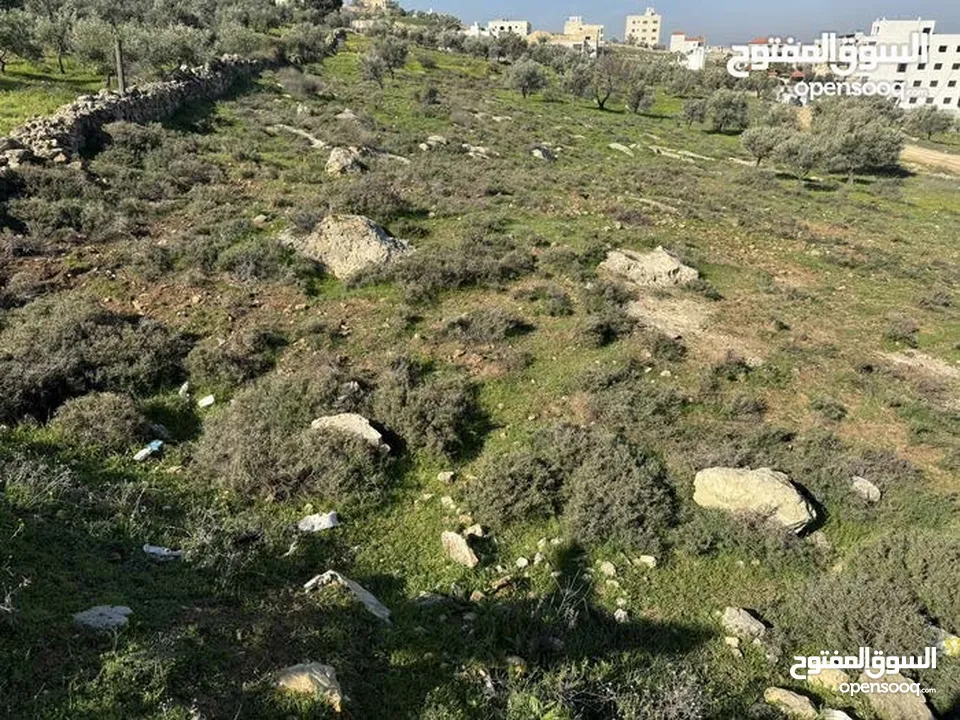 أرض مطلة اطلالة لا يمكن إغلاقها بين صافوط والجبيهة تصلح لبناء فيلا محاطة بفلل على شارعين كل الخدمات