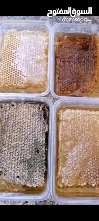 عسل طبيعي 100%  العسل الطبيعي الفاخر الابيض القرغيزي والأسود والأحمر وغذاء الملكات