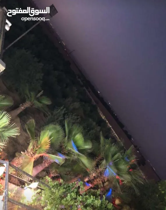 مزرعة مميزة و مشجرة للبيع بسعر مغري
