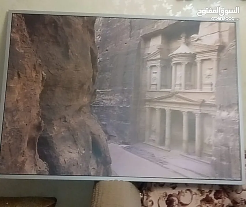 برواز البتراء الجديد