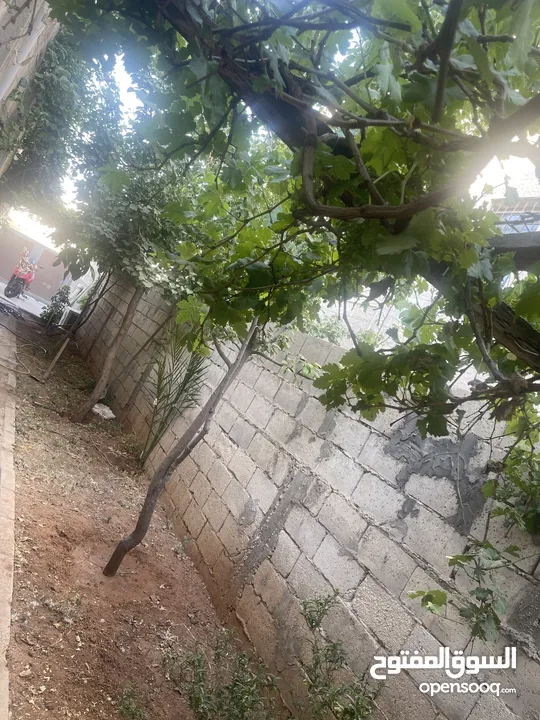 بيت مستقل للبيع ابوعلندا منطقة الرقيم