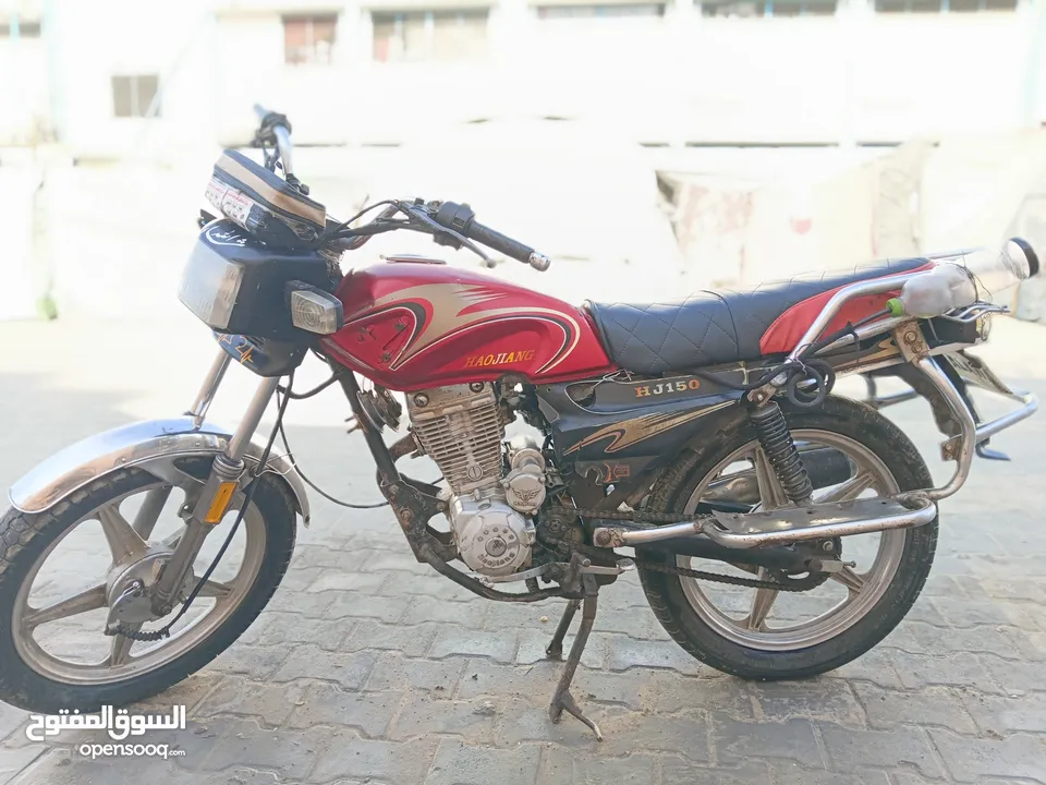 فزبة ضبعة 2016