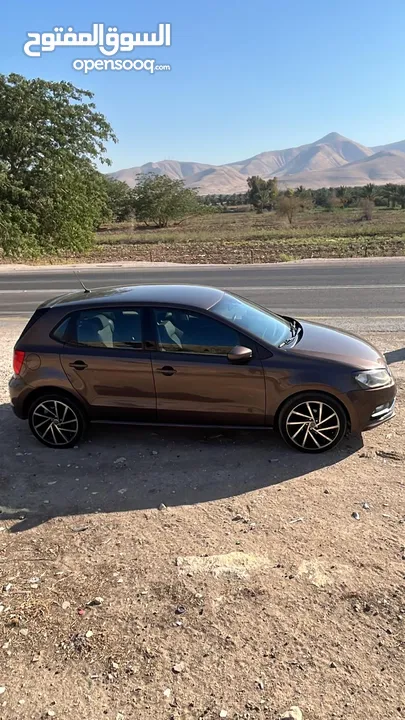 بولو جير عادي الحبة النادرة باللون و الجمال و الفحص