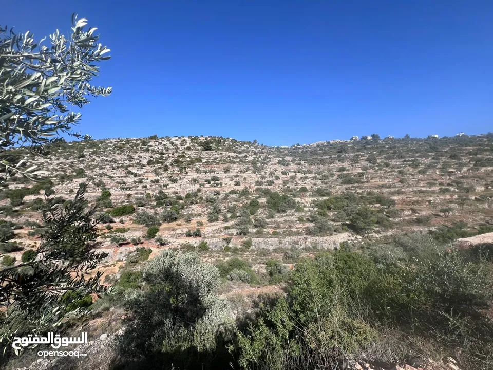 فرصة استثمارية في عارورة