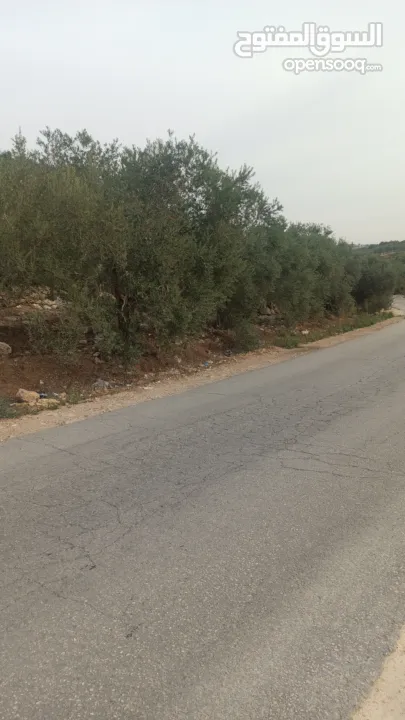 ارض على طريق بلعا دير الغصون قبل مفرق اكتابا