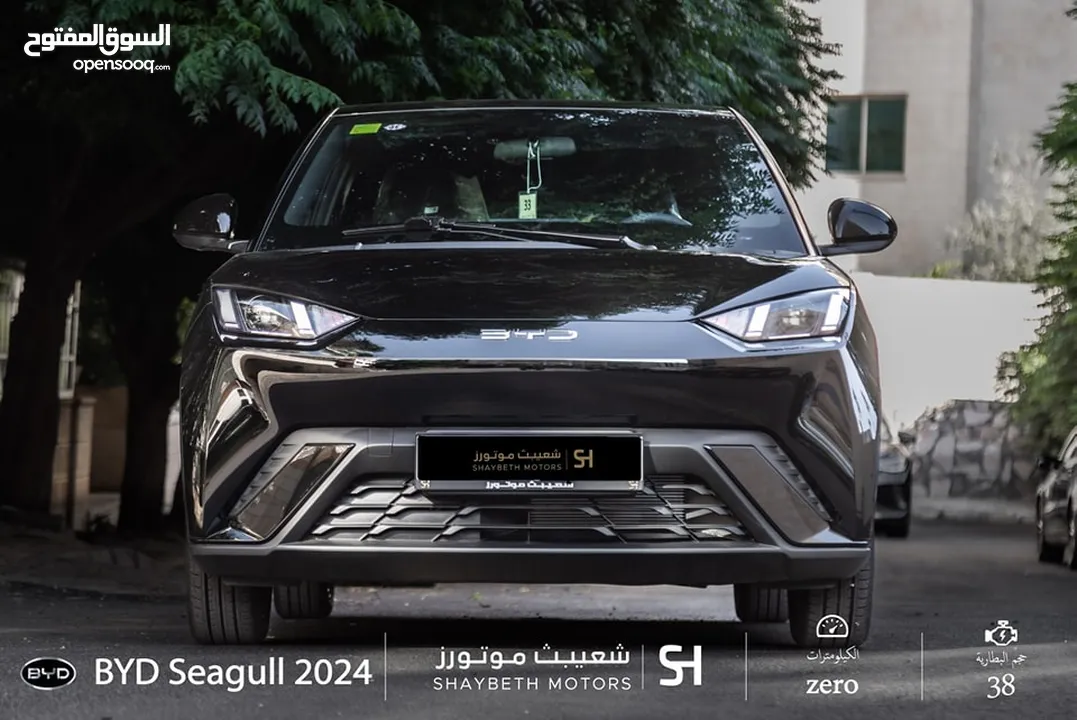 Byd Seagull 2024