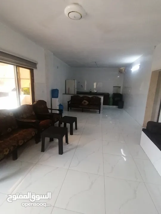 مزرعة وشاليه الباشا
