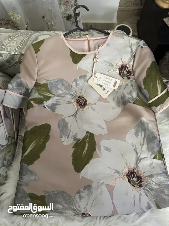 زي ted baker