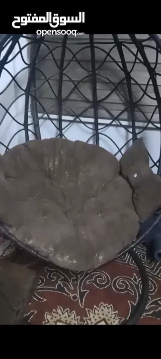 مرجيحة عش البلبل حجم كبير للبيع