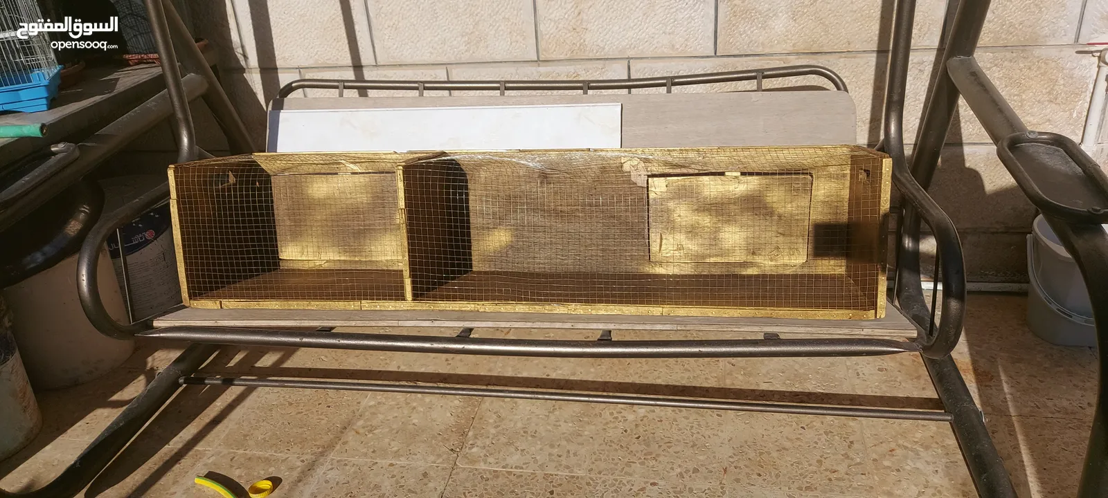 صندوق عرض للطيور للبيع