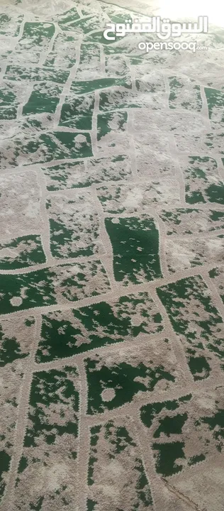 موكيت سجاد