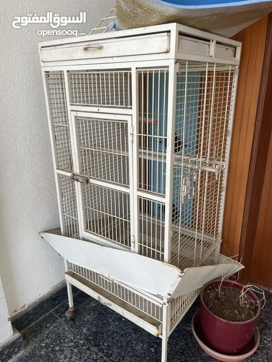 Cage for sale 50 rials